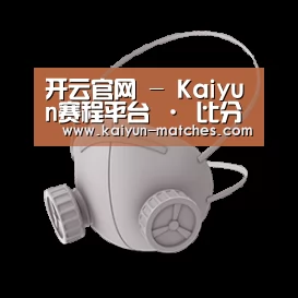 N95 口罩