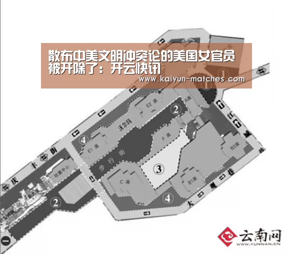 开云快讯
