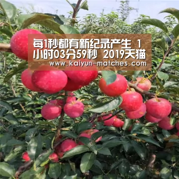 开云比分